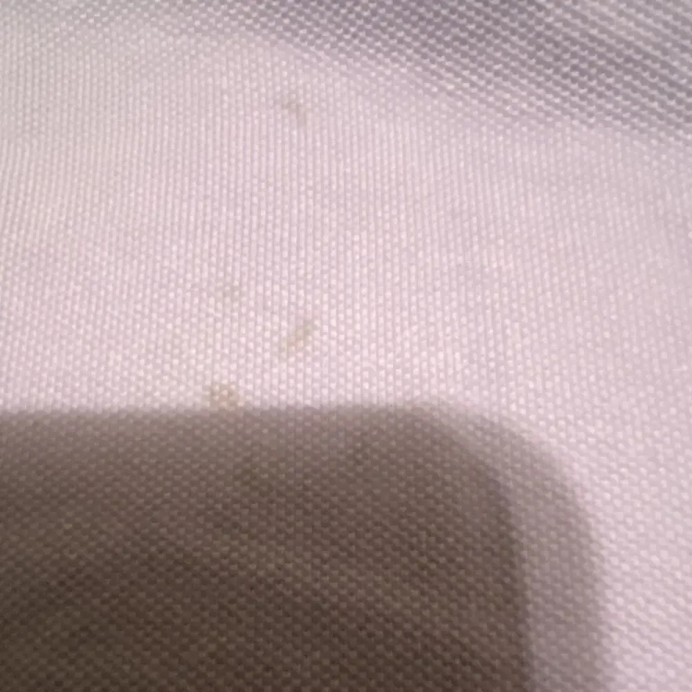 Polo Ralph Lauren Purple Solid Cotton Knit Polo Shirt Men’s L Classic Fit
